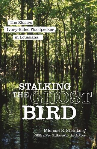 Stalking the ghost - stalking, bird