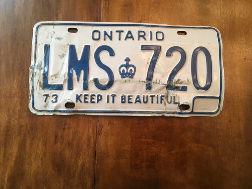 Vintage single ontario license - single,