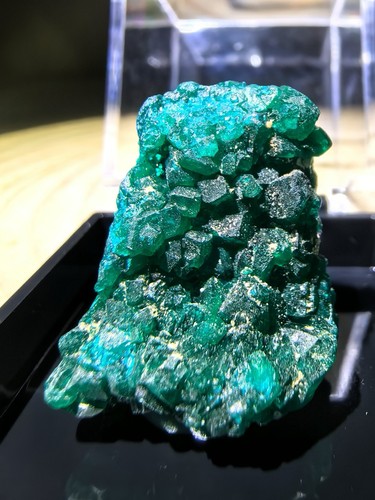 Rare dioptase crystal - dioptase, specimen
