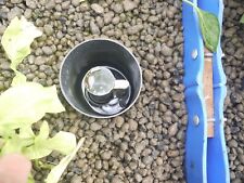 vitalink Clay Pebbles Balls about 250 Litre Large Bag Hydroponics