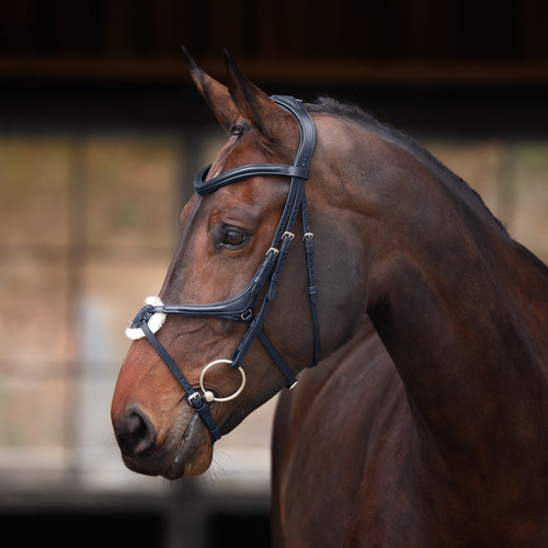 Shires velociti lusso - lusso, elite