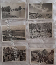 Cigarette Cards · Our