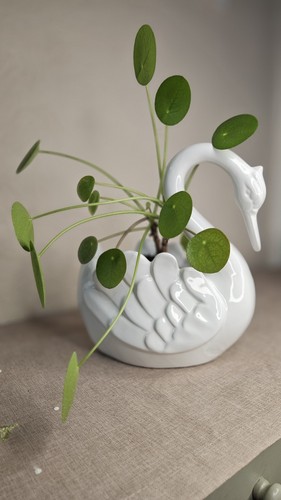 Vintage ceramic pereiras - ceramic,