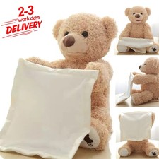Peek-A-Boo Teddy Bear Plush