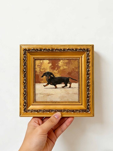 Black dachshund dog gold - dog,