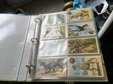 dinosaurs swap it card