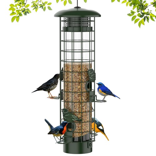 Squirrel proof bird - squirrel,