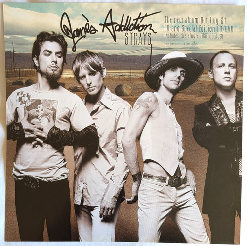 Jane addiciton strays one - jane's, -strays-