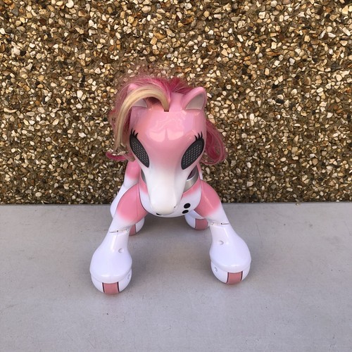 Zoomer show pony child - pony, child’s