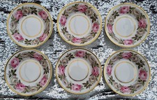 6 ROYAL WORCESTER ROYAL GARDEN