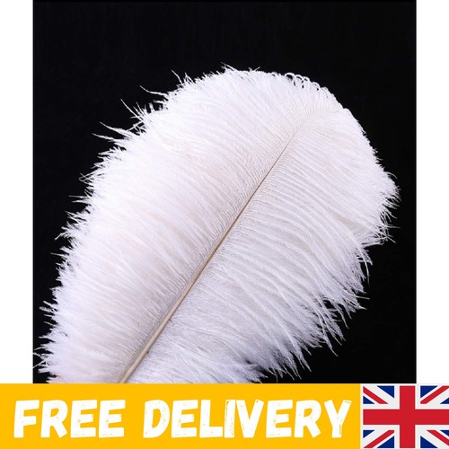 10pcs natural ostrich feathers - 10pcs,