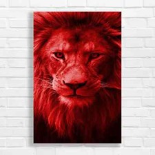 Captivating Lion Portrait Red