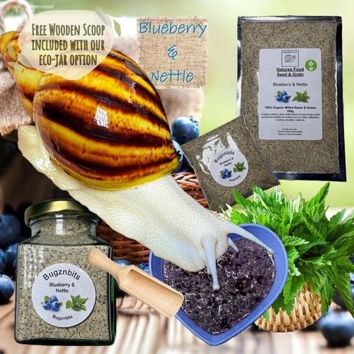 Giant african land snail - african,