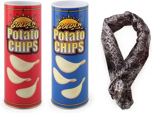 Potato chip snake can - chip,