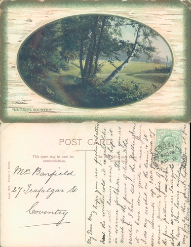 Nature scene with trees - , j