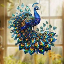 Vibrant Peacock with Eyes