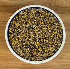 Mixed canary bird seed food - canary,