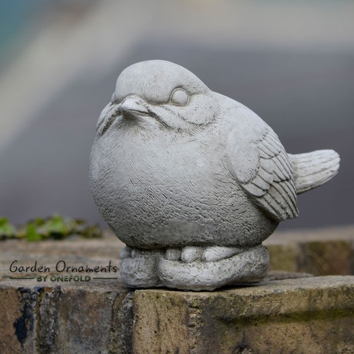 Robin small bird - bird, hand