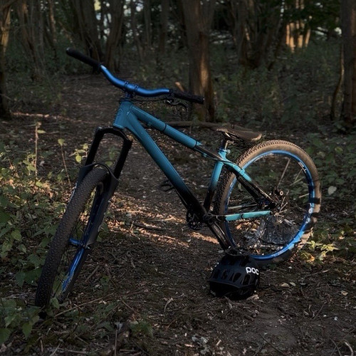 Giant mountain bike 26in - giant,