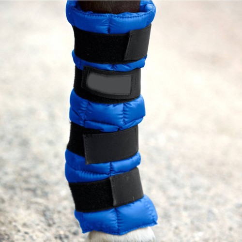 Horse ice boot padded - horse,