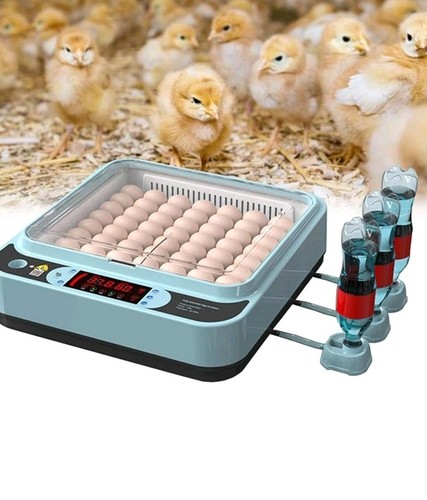 Egg automatic incubator - 64,