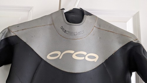 Orca predator swimming - orca,