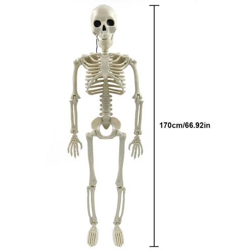 Full size posable - full,