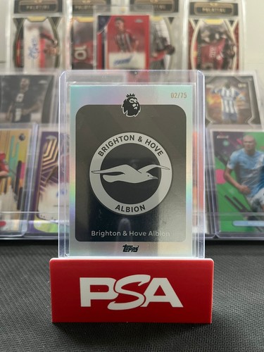 Brighton team badge - brighton,