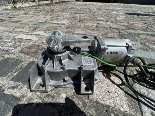 Came frog a24e underground - frog,