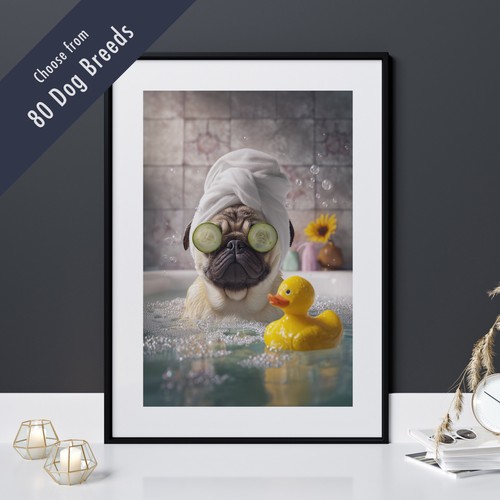 Funny dog bath - funny, in