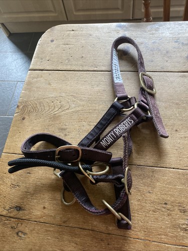 Monty roberts dually - monty,