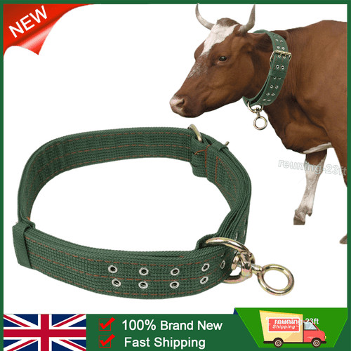 Cow neck strap - neck, horse