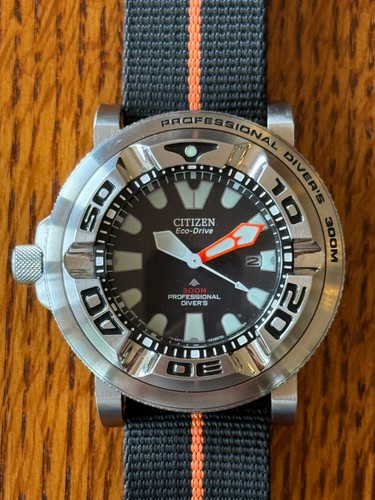 Mint citizen promaster - citizen,
