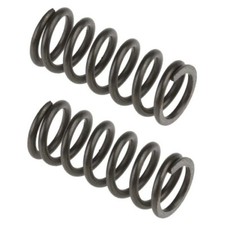 Rear Coil Spring Pair Fits