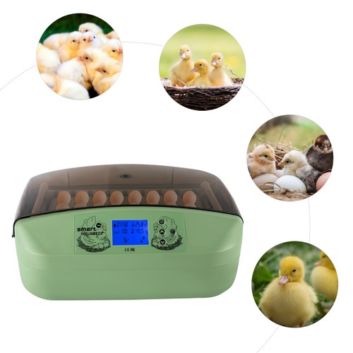 Digital egg incubator - 32,