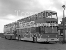 5.5cm x 4cm negative with