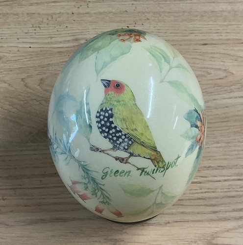 Ostrich egg signed - ostrich, egg,