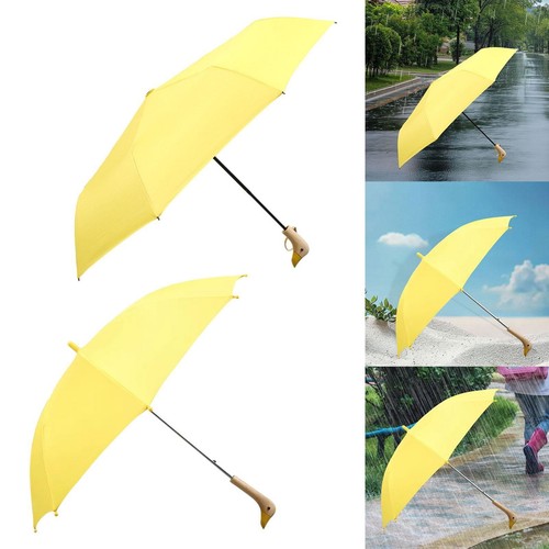 Duck umbrella with - duck,
