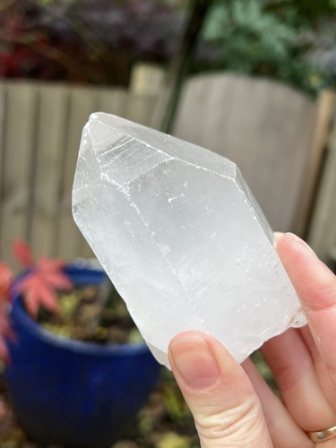 Lemurian seed clear - lemurian,