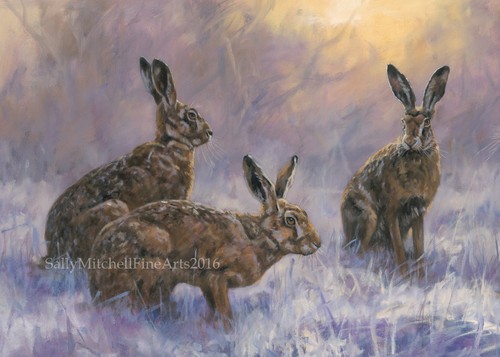 Hares the snow christmas - hares, in