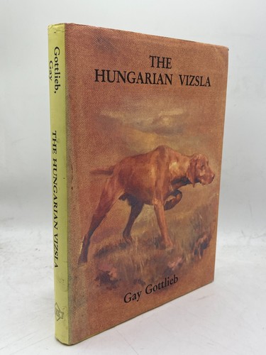 The hungarian vizsla gay - hungarian,