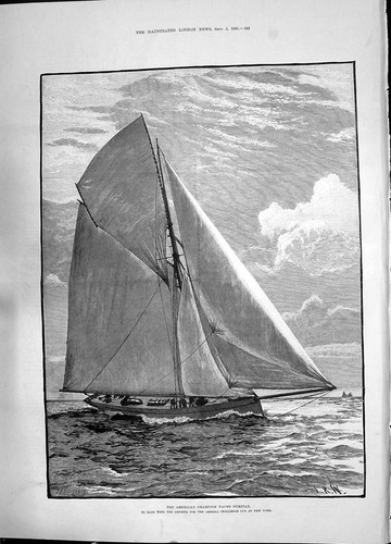Old 1885 american - american, champion