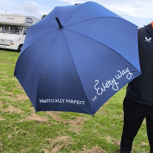 Disney mary poppins umbrella - mary,