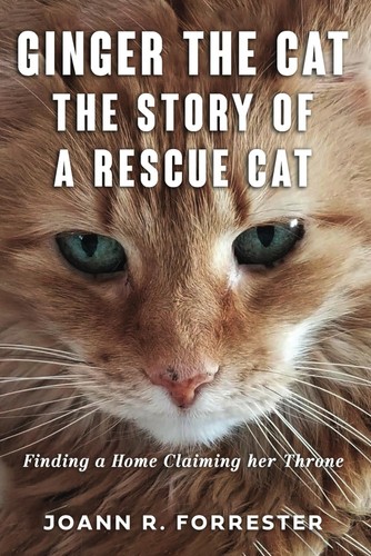 Ginger the cat - ginger,