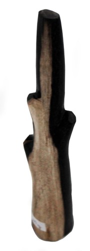 Fossil wood petrified - fossil, wood,