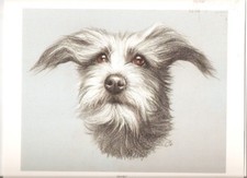 Lurcher Head Study Open