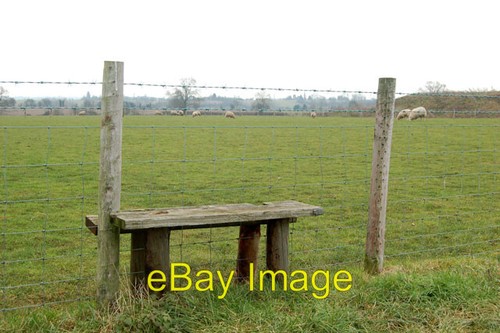 Photo 6x4 sheep netting - sheep,