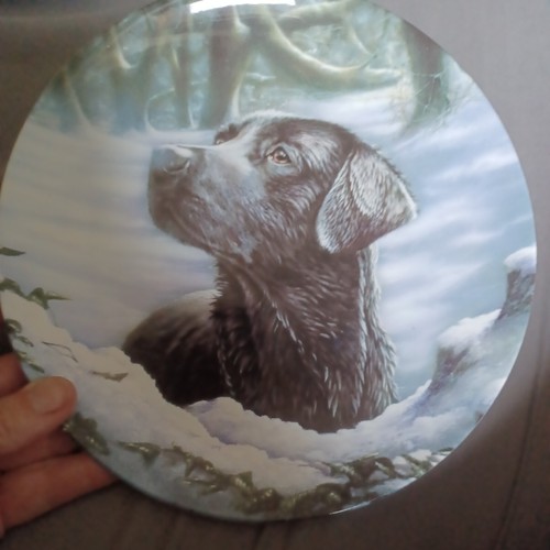 Wedgewood danbury mint - danbury, bone