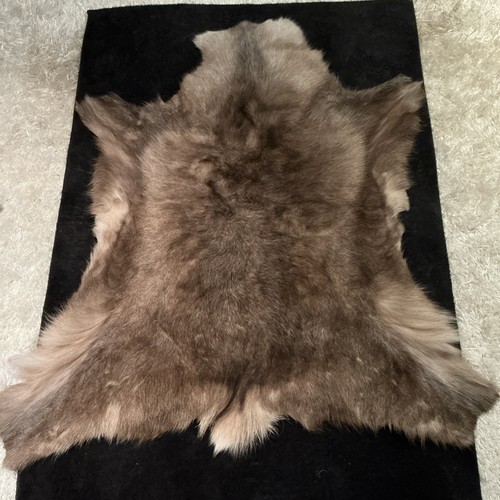 Genuine reindeer skin - reindeer,