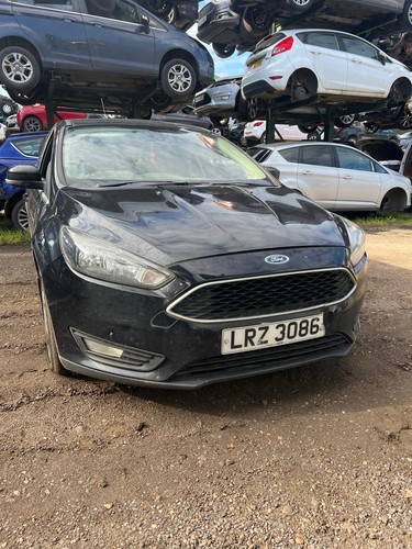 2015 ford focus - 2015,